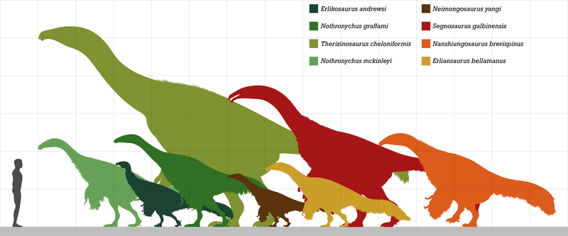 Файл:Therizinosauridae size comparison.png