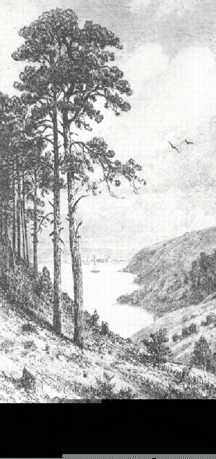 На Каме близ Елабуги. 1885