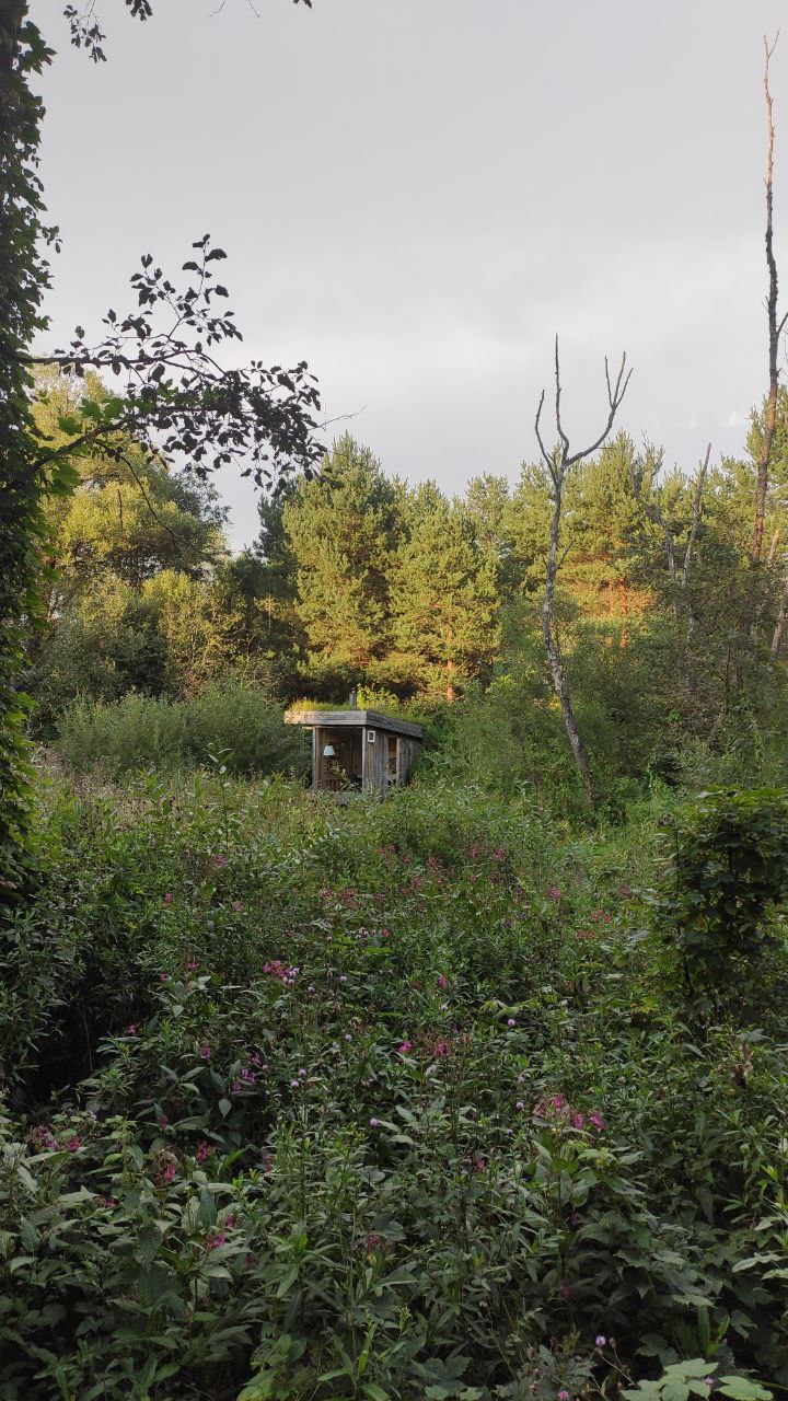 Библиотека "Домик отшельника". Деревяный домик в лесу с прозрачной стеной и видом на реку.