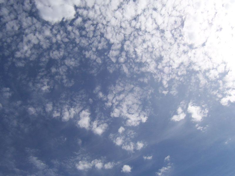Файл:Cirrocumulus clouds.jpg