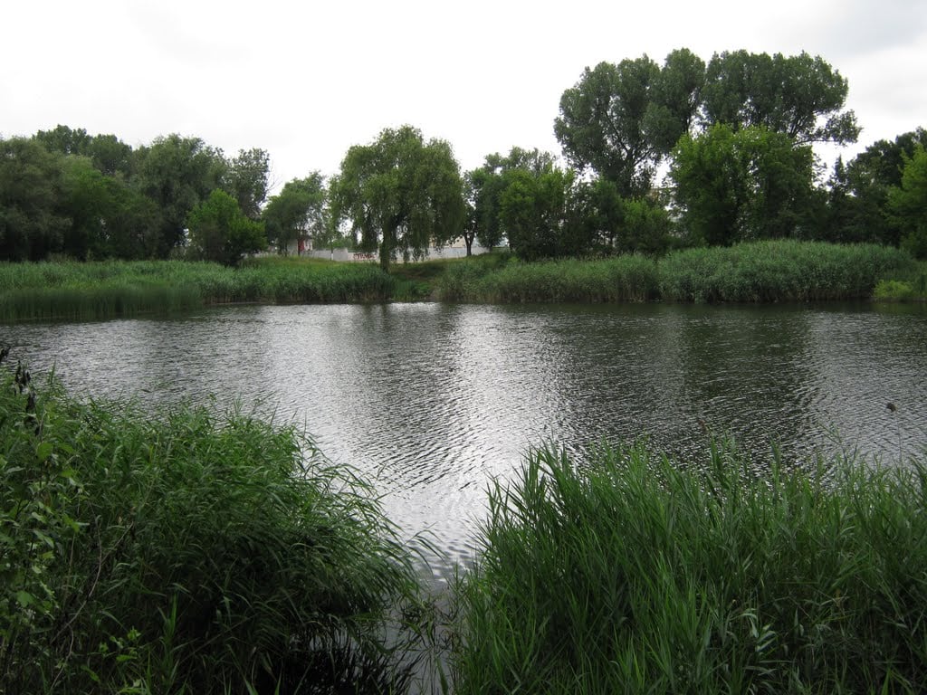 Файл:Озеро Кодру около аэропорта.jpg