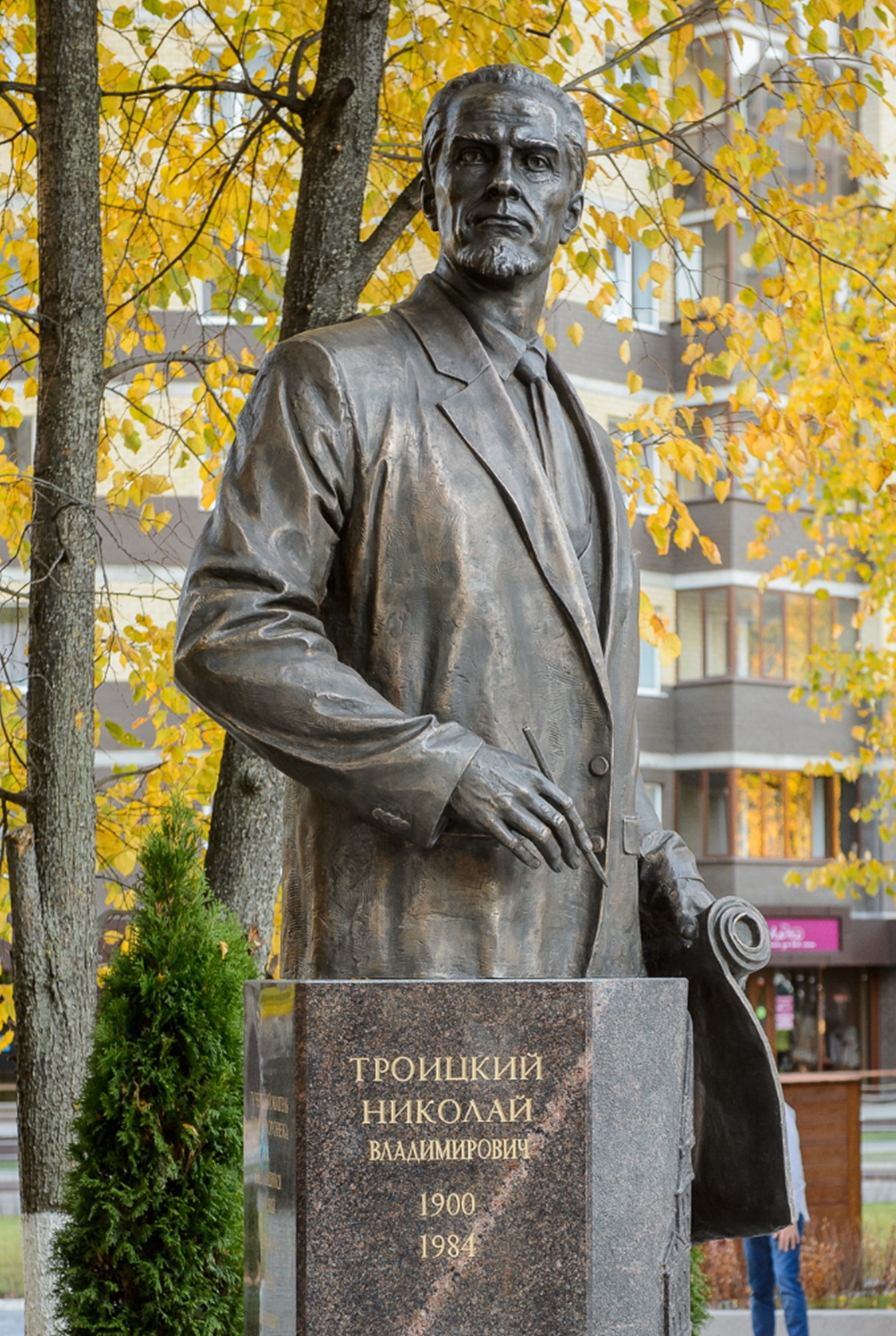 Памятник Троицкому Воронеж 7.jpg