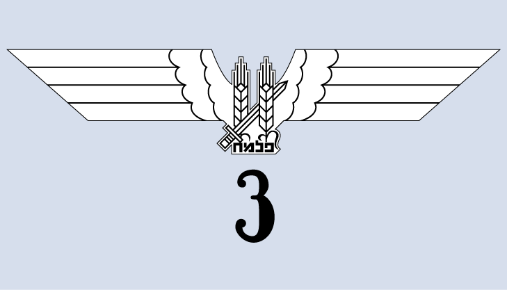Palmach Galilee Squadron.png