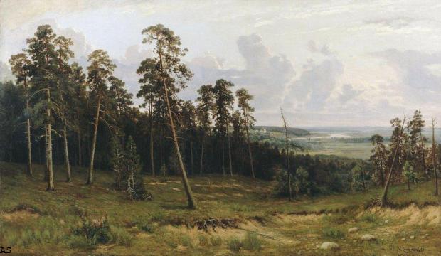 Богатый лог (Пихтовый лес на реке Каме). 1877