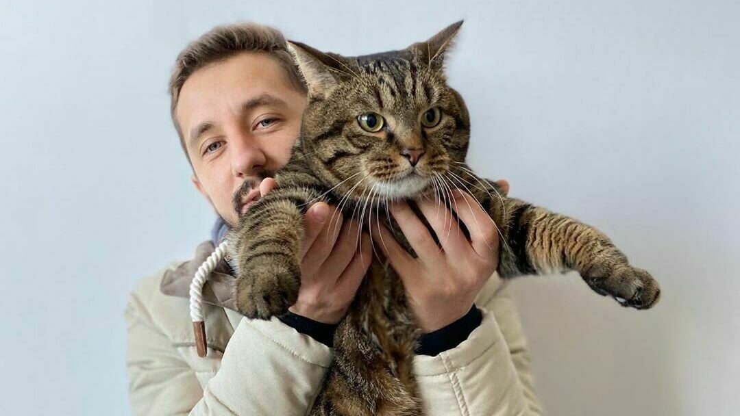 Файл:Толстый кот Виктор из Владивостока.jpg