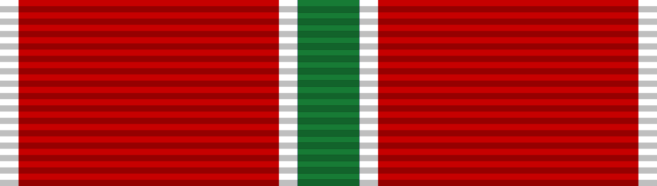 Garibaldi Medal.png