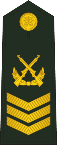 PLAGF-0708-2CSGT.png