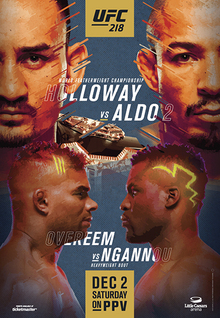 Файл:UFC 218 event poster.jpg