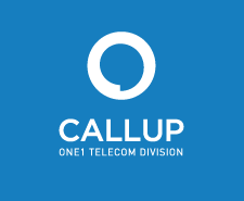 CALLUP net company logo.png