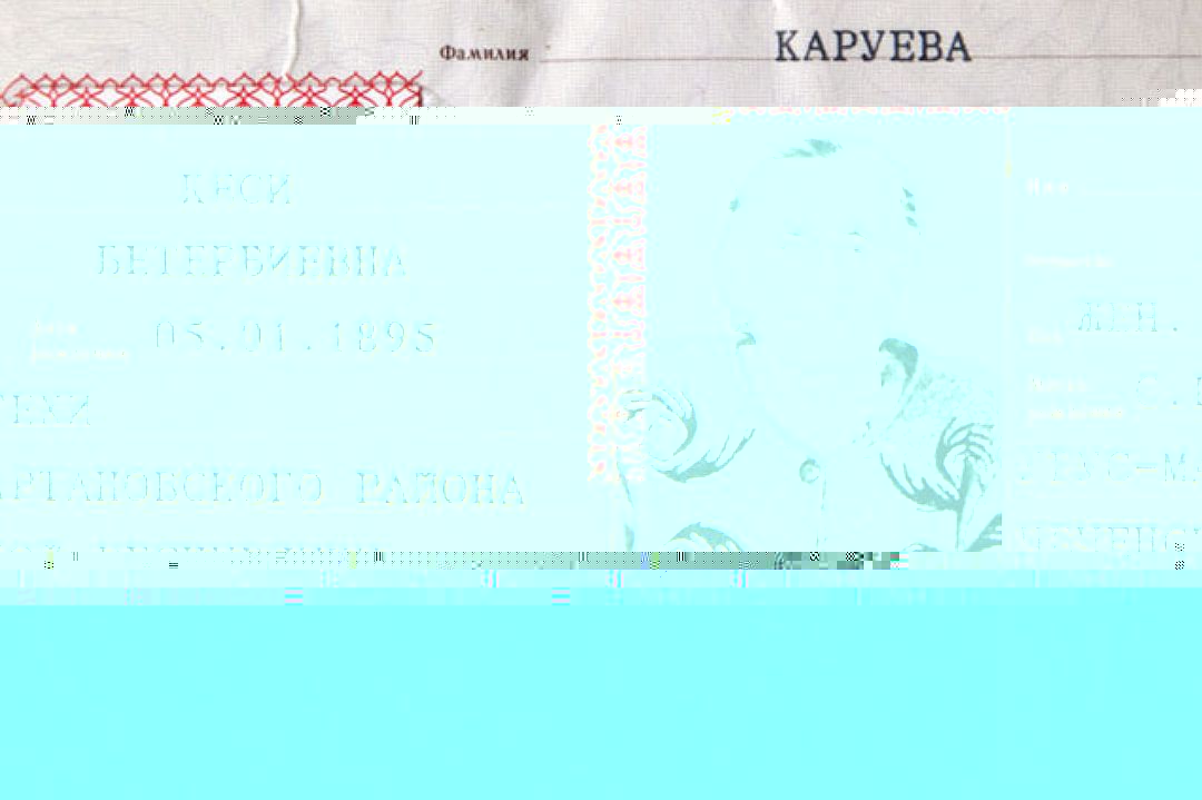 Файл:Kesi Karueva pasport.jpg