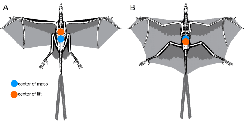 Reconstructions-of-Yi-qi-showing-the-aerodynamic-apparatus-Model-proposed-by-Xu-et-al.png