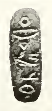 Nebmaatre scarab Petrie.png