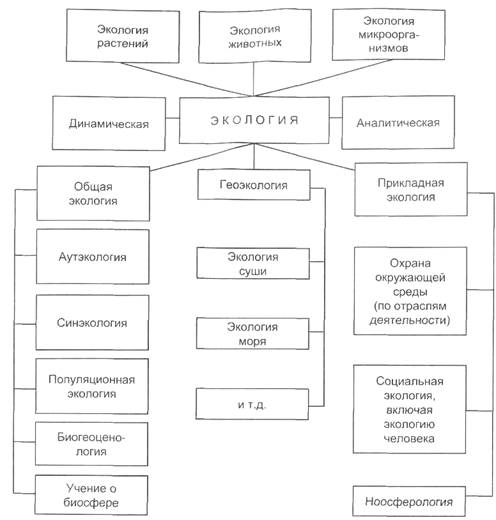 Структура современной экологии (по А.Д. Потапову, 2000 год, с изменениями)