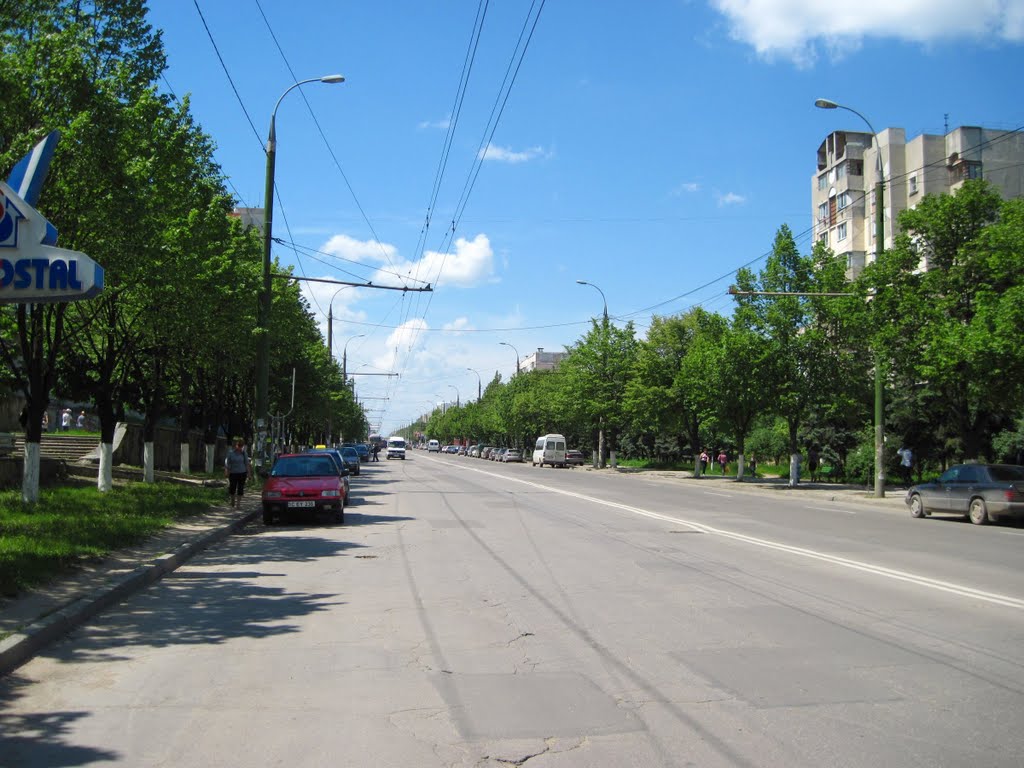 Файл:Улица Алба Юлия 2.jpg