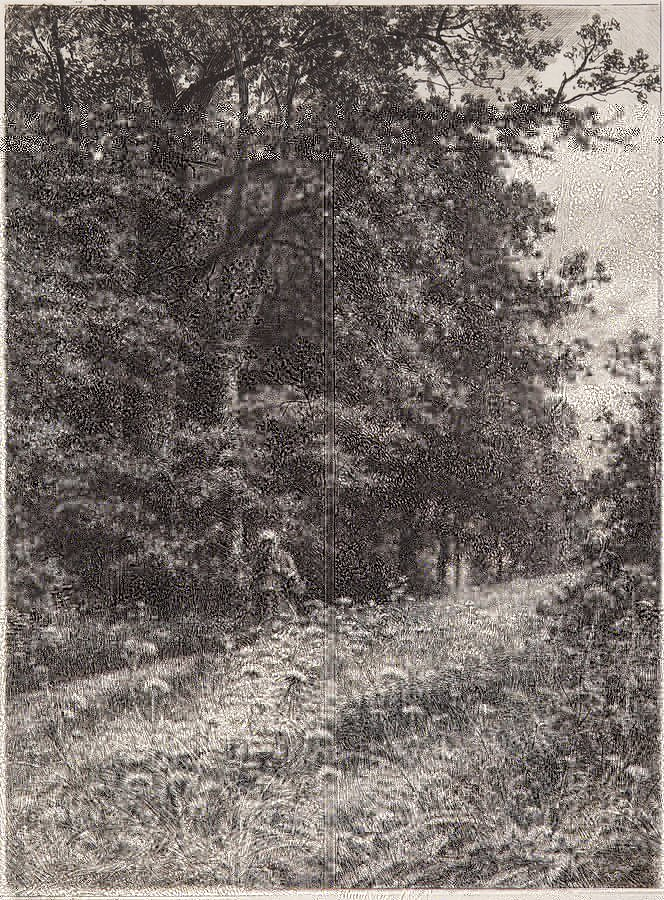 На лесной меже. 1878