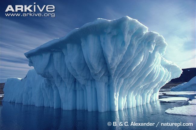 Файл:Iceberg in Arctic.jpg
