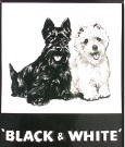 Файл:Black & white logo.jpg