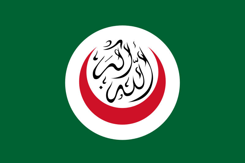 Файл:Flag of OIC.svg