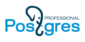 Файл:PGpro-logo.svg