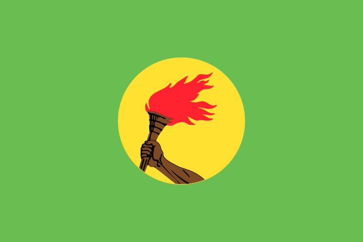 Файл:Flag of Zaire.svg